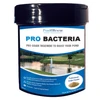 RPB-16OZ - Pro Bacteria 16 oz. Powder Pond Booster Treatment - RPB-16OZ