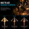 LumiNight Pond and Landscape Lighting - Bronze 3-Watt LED Bronze  Textured Dome Path Light (Add-On, Transformer Not Included)