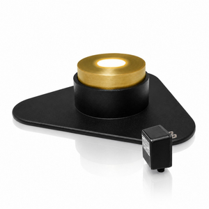 LumiNight Pond and Landscape Lighting - Brass 1-Watt LED Brass Puck Light with Photocell, Transformer and Remote