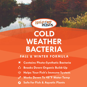 Cold Weather Bacteria Pond Treatment – 16 oz. Bottle