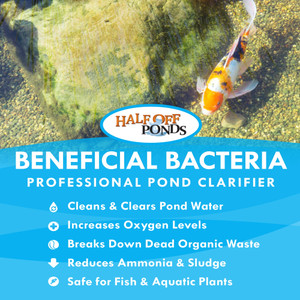 Beneficial Bacteria Pond Treatment – 8 oz. Bottle