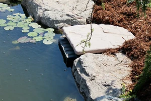 Blue Thumb Medium Elite Skimmer - PB1137