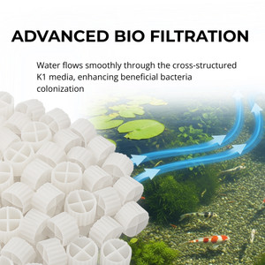 Advanced Bio Filtration educational infographic displaying close-up of white cylindrical K1 bio filter media pieces on the left and pond ecosystem illustration on the right showing water flow through the cross-structured media enhancing beneficial bacteria colonization, with aquatic plants and koi fish demonstrating healthy pond environment.