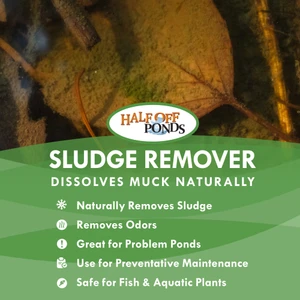 Sludge Remover Pond Muck Treatment – All Sizes
