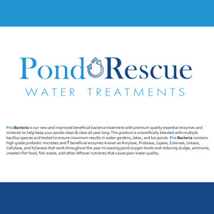 Pro Bacteria Pond Booster Treatment – All Sizes