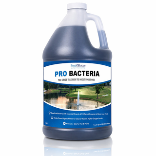 Pro Bacteria