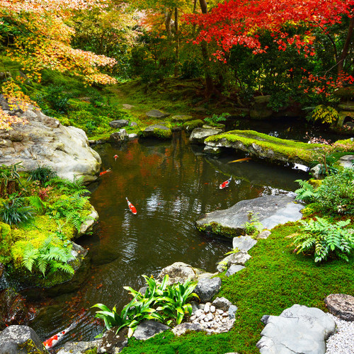 Savio Signature Pond Kit - Thumbnail 2