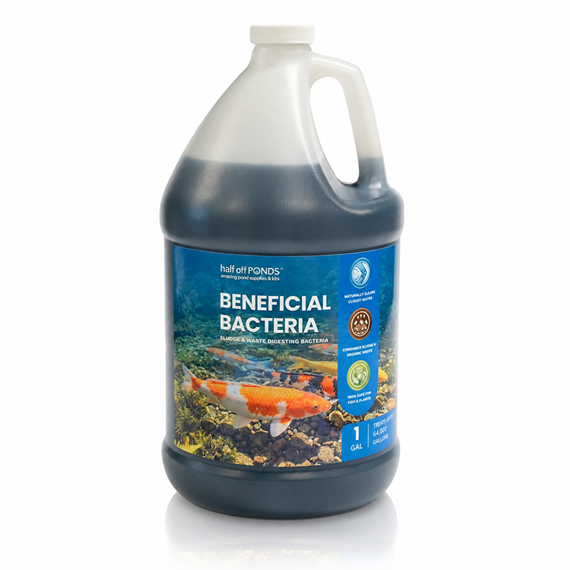 Beneficial Bacteria 1 gallon