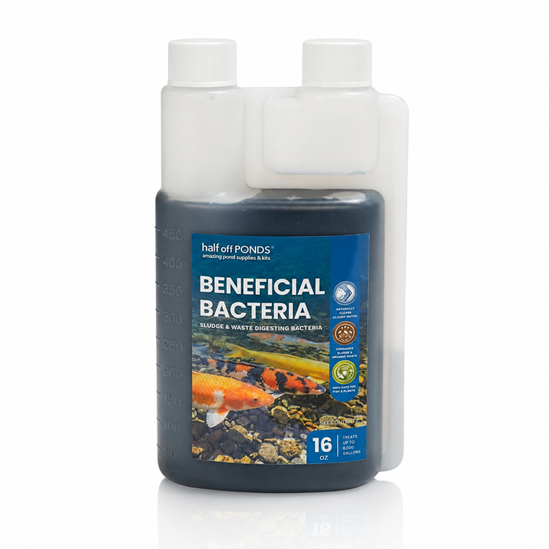 Beneficial Bacteria 16 ounce