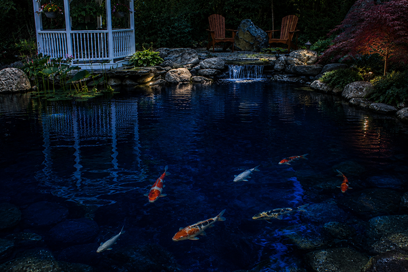 Blue Pond Pro Pond Dye & Water Treatment lineup