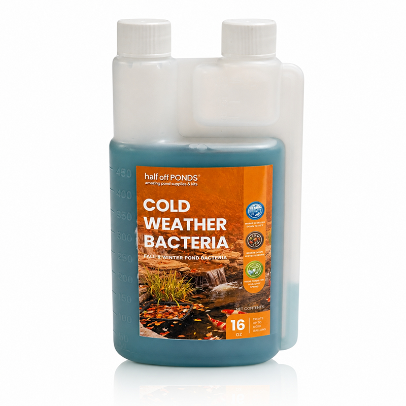 Cold Weather Bacteria