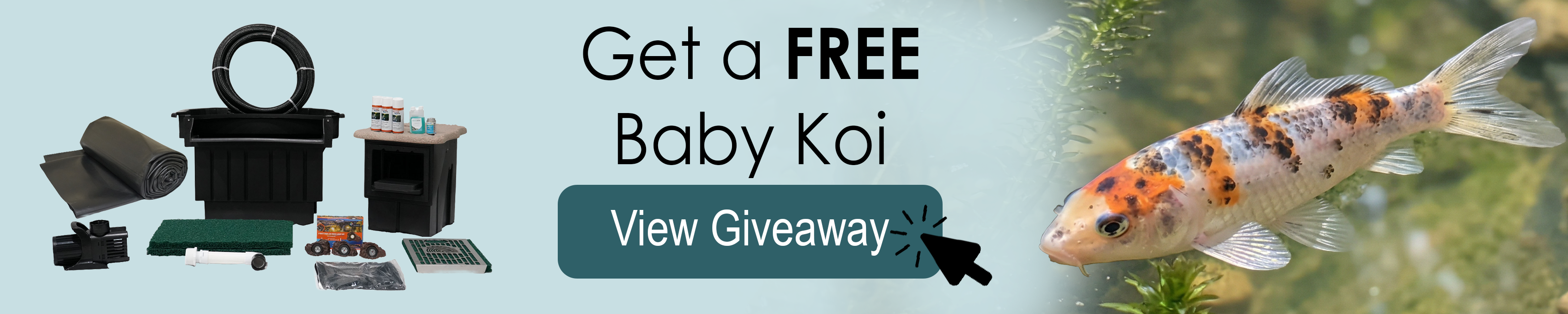 Free Koi with Purchase - Half Off Ponds