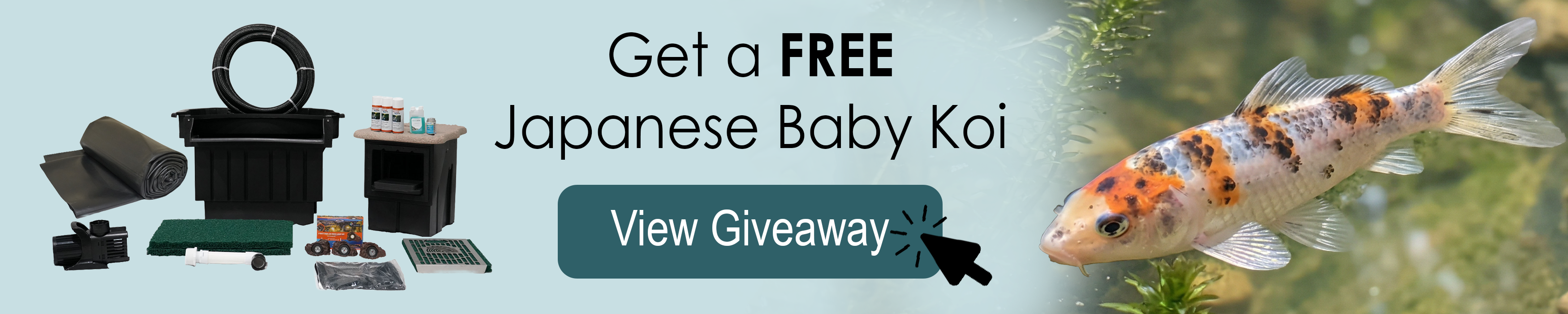 Free Koi with Purchase - Half Off Ponds