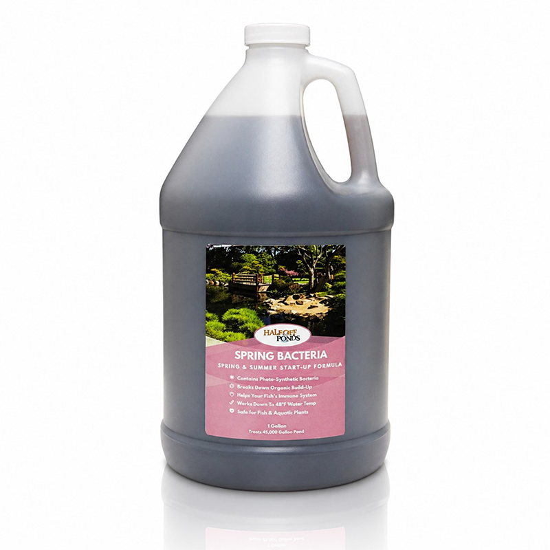 Spring Bacteria 1 gallon