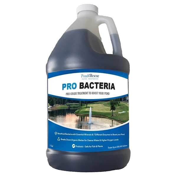 Pro Bacteria 1 gallon liquid