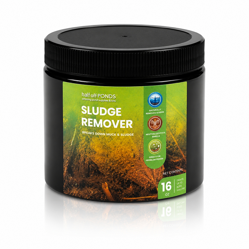 Sludge Remover 16 ounce