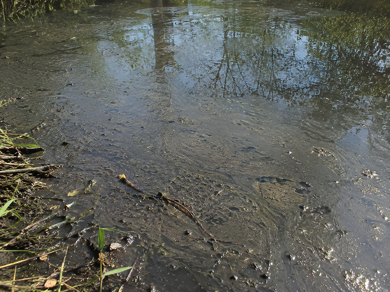 Sludge Remover Pond Muck Treatment lineup