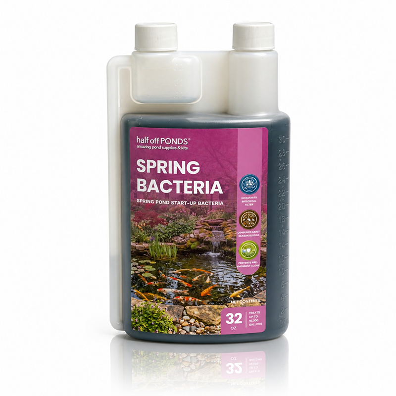 Spring Bacteria 32 ounce