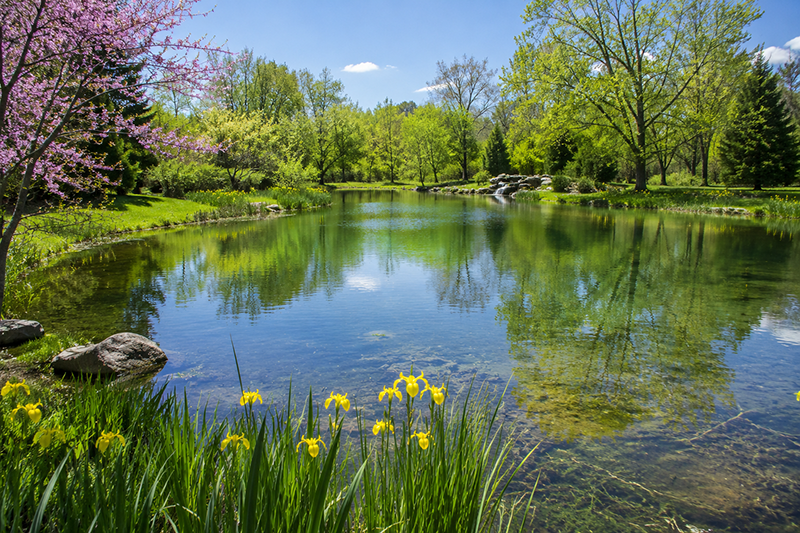 Spring Bacteria Pond Treatment lineup