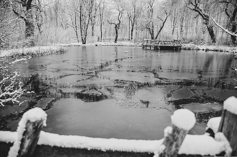 Cold Weather Bacteria Pond Treatment lineup