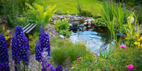 Test Blog
