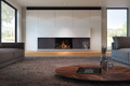 DRU Maestro 100 - Balanced Flue Gas Fire