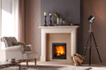 Dik Geurts Instyle 550 - Inset Wood Burning Stove