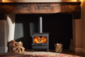 Dean Forge Croft 8 Eco - Ecodesign Ready Stove