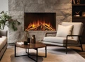 Solution Lux 650 Insert Fire
