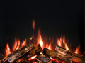 Vision Solus VS 100+ - Electric Fire / Coppice Real Log Set