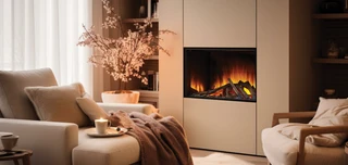 Solution Lux 650 Insert Fire