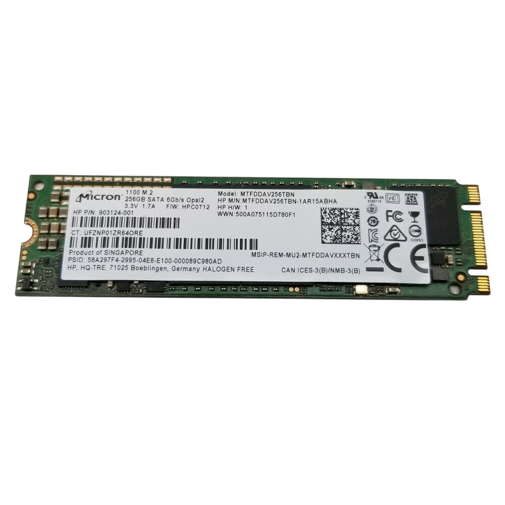 HP – Micron 256GB SATA SSD – M.2 2280 Stick (MTFDDAV256TBN