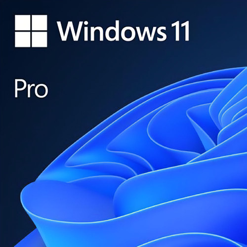 Windows 11 Pro Digital