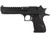 Magnum Research Mark XIX Desert Eagle .357 Magnum Black DE357