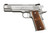 Kimber 1911 Stainless Raptor II 10mm 5" Satin Silver NS 8 Rds 3200386