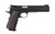 CZ-USA Dan Wesson Bruin Black 10mm 6.03" 8 Rounds NS 01840