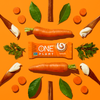 ONE Plant - Carrot Cake 12pk