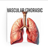 Vascular/Thoracic