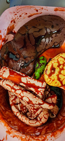 Manikin System Components, Individual