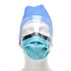 Earloop mask with shield