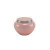 Odyssey Pink Pet Urn - Mini