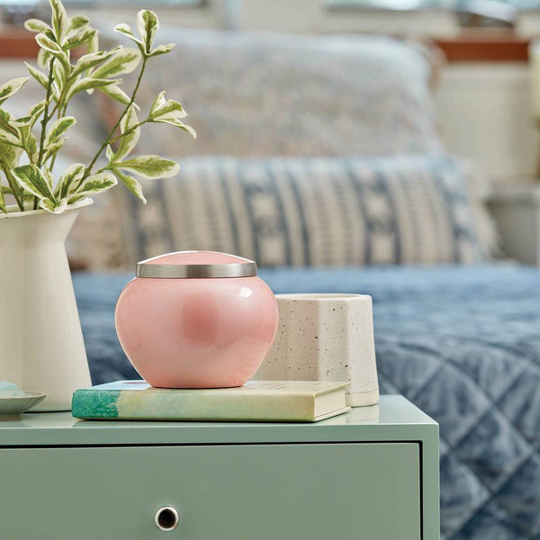 Odyssey Pink Pet Urn - Small