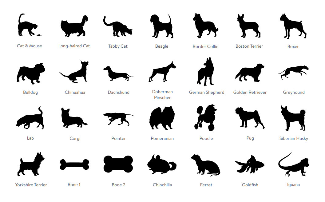 Pet Clip Art Options