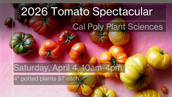 2026 Tomato Spectacular Catalog