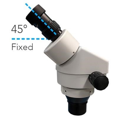 Innoscopes - I22 Stereo Microscope