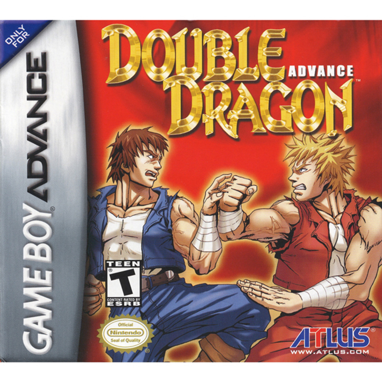 Double Dragon Arcade