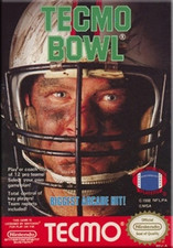 Complete Tecmo Bowl Football - NES