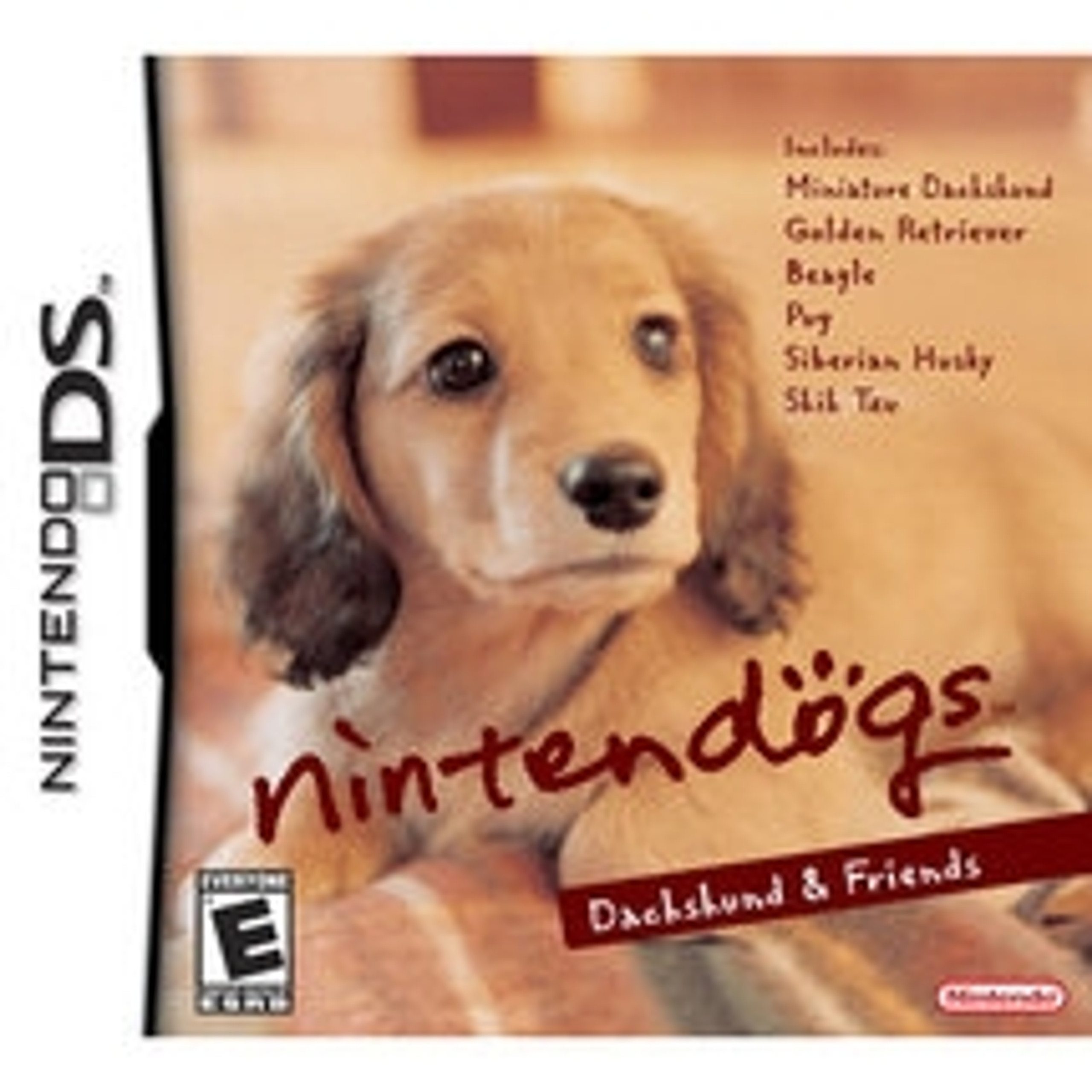 Complete Nintendo DS Teal Nintendogs Best Friends Version For Sale