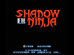 Complete Shadow of The Ninja - NES