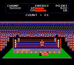 Tag Team Wrestling - NES Game